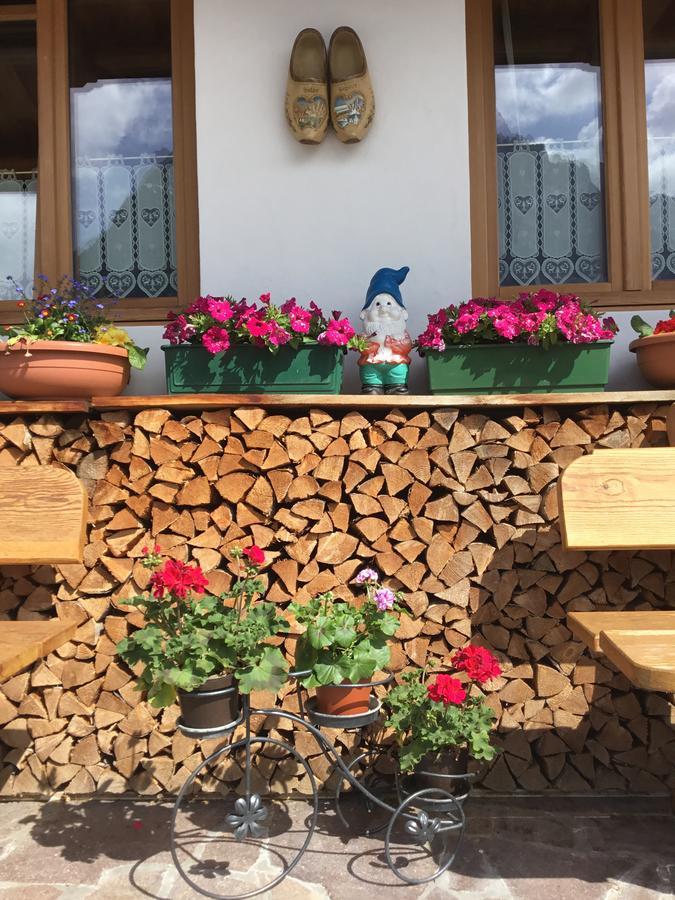 B&B Solder Chalet Dolomiti Sappada Exteriör bild