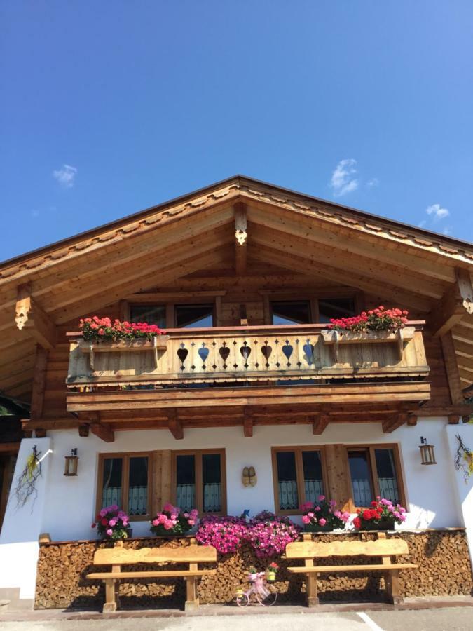 B&B Solder Chalet Dolomiti Sappada Exteriör bild